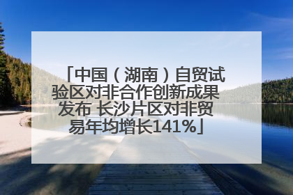 中国（湖南）自贸试验区对非合作创新成果发布 长沙片区对非贸易年均增长141%