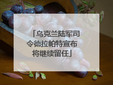 乌克兰陆军司令德拉帕特宣布将继续留任