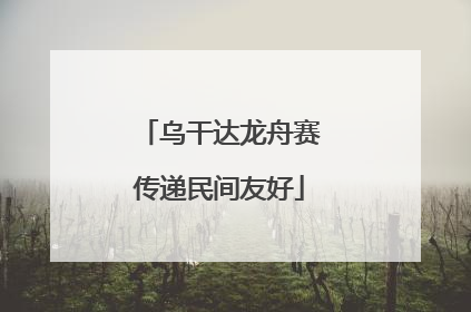 乌干达龙舟赛传递民间友好