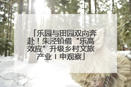乐园与田园双向奔赴！朱泾镇借“乐高效应”升级乡村文旅产业〡申观察