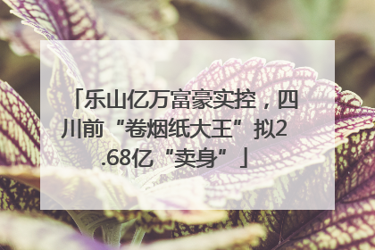 乐山亿万富豪实控，四川前“卷烟纸大王”拟2.68亿“卖身”