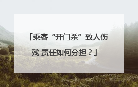乘客“开门杀”致人伤残 责任如何分担？