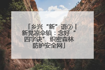 乡兴“新”语②丨新晃凉伞镇：念好“四字诀” 织密森林防护安全网