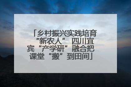 乡村振兴实践培育“新农人” 四川宜宾“产学研”融合把课堂“搬”到田间