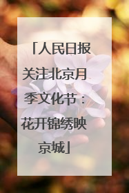 人民日报关注北京月季文化节：花开锦绣映京城