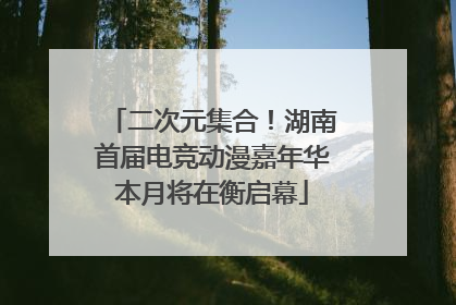 二次元集合！湖南首届电竞动漫嘉年华本月将在衡启幕