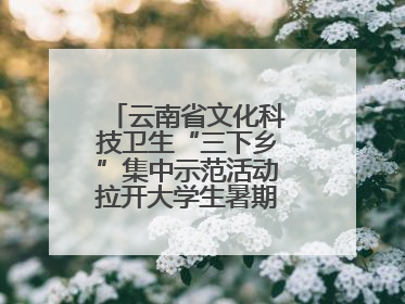 云南省文化科技卫生“三下乡”集中示范活动拉开大学生暑期“三下乡”社会实践活动序幕