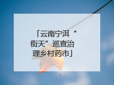 云南宁洱“街天”巡查治理乡村药市