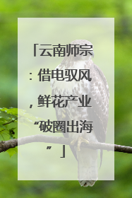 云南师宗：借电驭风，鲜花产业“破圈出海”