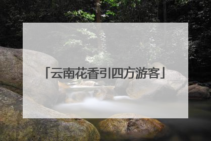 云南花香引四方游客