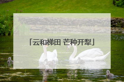 云和梯田 芒种开犁