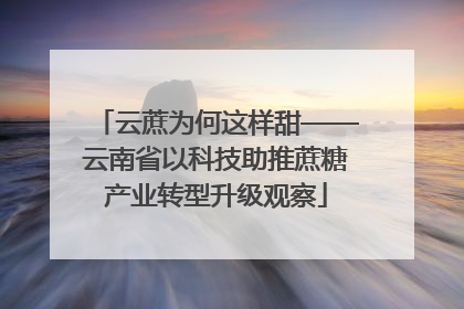 云蔗为何这样甜——云南省以科技助推蔗糖产业转型升级观察