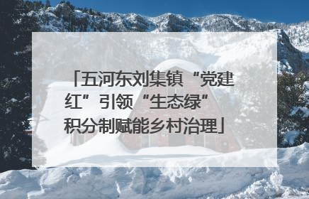 五河东刘集镇“党建红”引领“生态绿” 积分制赋能乡村治理