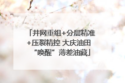 井网重组+分层精准+压裂精控 大庆油田“唤醒”薄差油藏