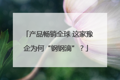 产品畅销全球 这家豫企为何“钢钢滴”？