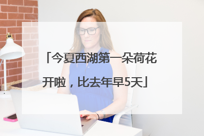 今夏西湖第一朵荷花开啦，比去年早5天