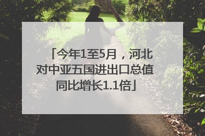 今年1至5月，河北对中亚五国进出口总值同比增长1.1倍