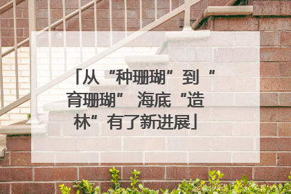 从“种珊瑚”到“育珊瑚” 海底“造林”有了新进展