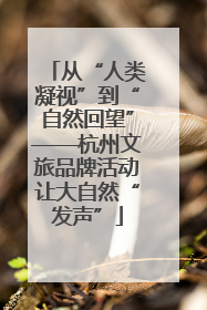 从“人类凝视”到“自然回望”——杭州文旅品牌活动让大自然“发声”
