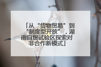 从“货物贸易”到“制度型开放”，湖南自贸试验区探索对非合作新模式