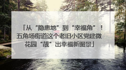 从“隐患地”到“幸福角”！五角场街道这个老旧小区党建微花园“靓”出幸福新图景