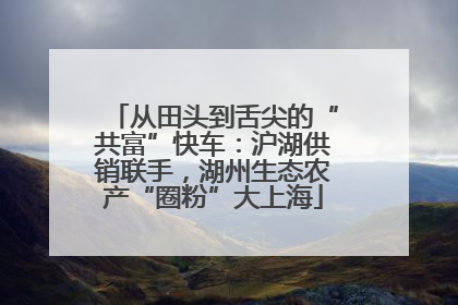 从田头到舌尖的“共富”快车：沪湖供销联手，湖州生态农产“圈粉”大上海