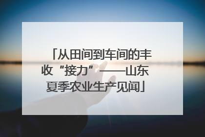 从田间到车间的丰收“接力”——山东夏季农业生产见闻