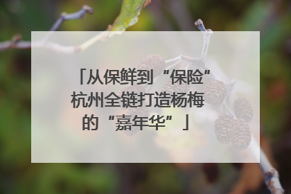 从保鲜到“保险” 杭州全链打造杨梅的“嘉年华”