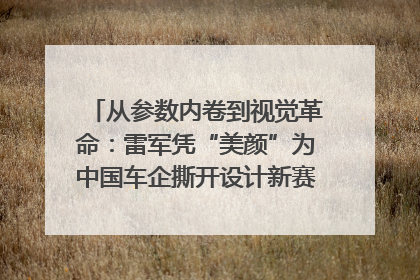 从参数内卷到视觉革命：雷军凭“美颜”为中国车企撕开设计新赛道｜封面车评