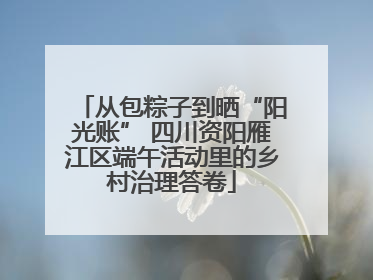 从包粽子到晒“阳光账” 四川资阳雁江区端午活动里的乡村治理答卷