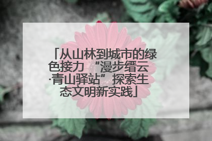 从山林到城市的绿色接力 “漫步缙云·青山驿站”探索生态文明新实践