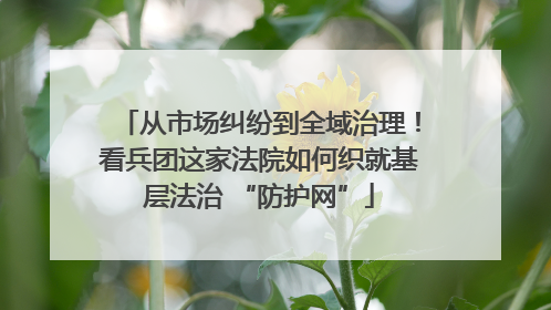 从市场纠纷到全域治理！看兵团这家法院如何织就基层法治 “防护网”