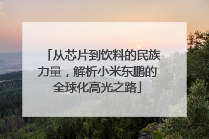 从芯片到饮料的民族力量，解析小米东鹏的全球化高光之路