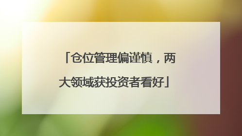 仓位管理偏谨慎，两大领域获投资者看好
