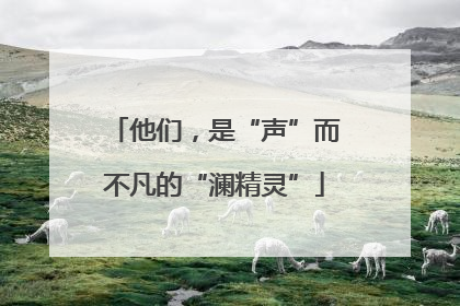 他们，是“声”而不凡的“澜精灵”