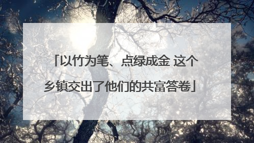 以竹为笔、点绿成金 这个乡镇交出了他们的共富答卷