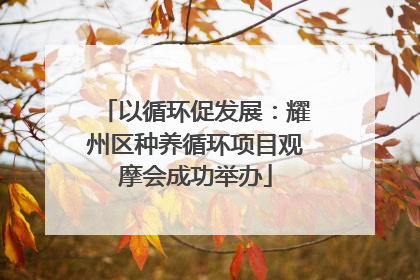 以循环促发展：耀州区种养循环项目观摩会成功举办