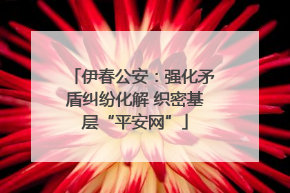 伊春公安：强化矛盾纠纷化解 织密基层“平安网”