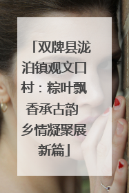双牌县泷泊镇观文口村：粽叶飘香承古韵 乡情凝聚展新篇