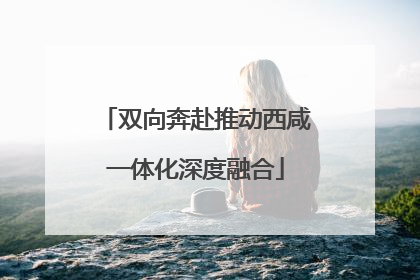 双向奔赴推动西咸一体化深度融合