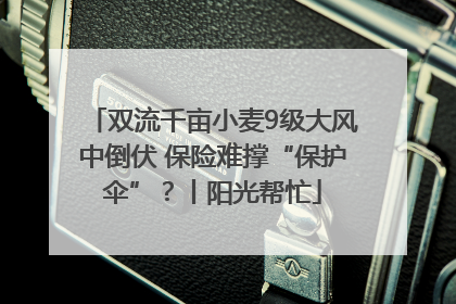 双流千亩小麦9级大风中倒伏 保险难撑“保护伞”？丨阳光帮忙