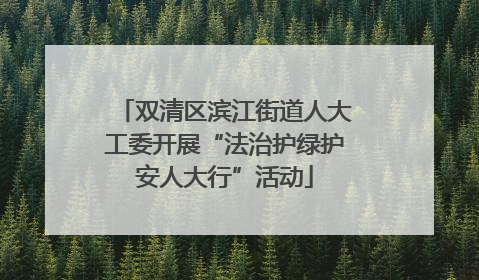 双清区滨江街道人大工委开展“法治护绿护安人大行”活动