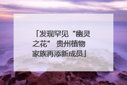发现罕见“幽灵之花” 贵州植物家族再添新成员