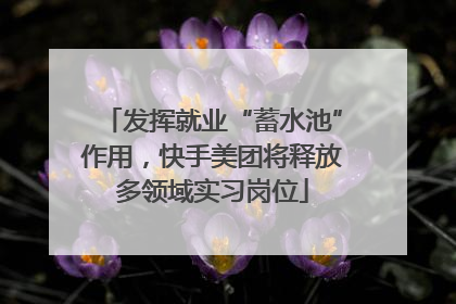 发挥就业“蓄水池”作用，快手美团将释放多领域实习岗位