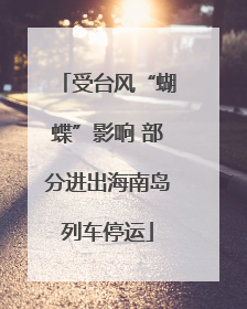 受台风“蝴蝶”影响 部分进出海南岛列车停运