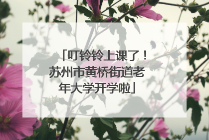 叮铃铃上课了！苏州市黄桥街道老年大学开学啦