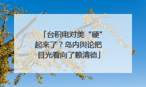 台积电对美“硬”起来了？岛内舆论把目光看向了赖清德