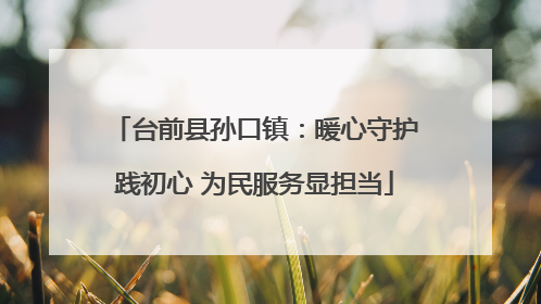 台前县孙口镇：暖心守护践初心 为民服务显担当