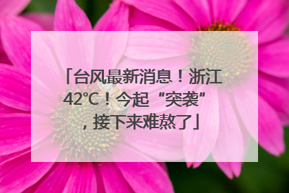 台风最新消息！浙江42℃！今起“突袭”，接下来难熬了