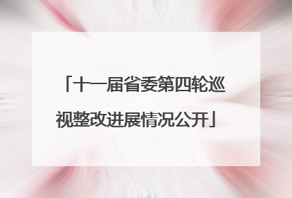 十一届省委第四轮巡视整改进展情况公开